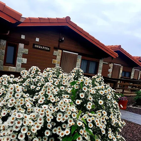 Apartamento & El Acebo By Urbanhosting Ubiarco